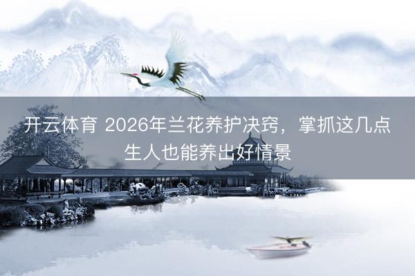 开云体育 2026年兰花养护决窍，掌抓这几点生人也能养出好情景