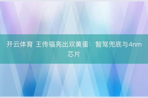 开云体育 王传福亮出双黄蛋：智驾兜底与4nm芯片