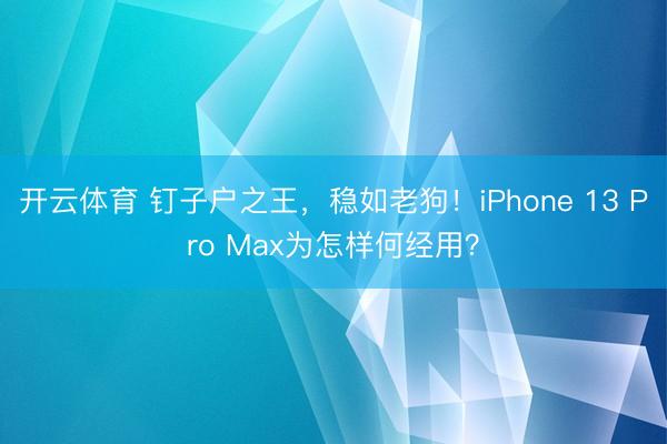开云体育 钉子户之王，稳如老狗！iPhone 13 Pro Max为怎样何经用？
