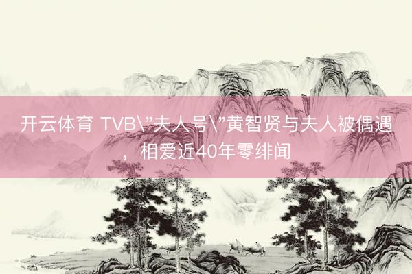 开云体育 TVB