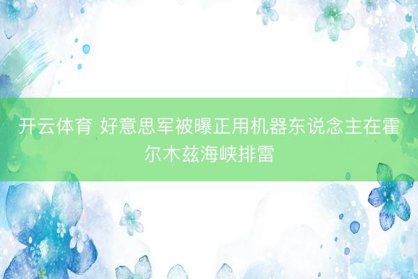 开云体育 好意思军被曝正用机器东说念主在霍尔木兹海峡排雷