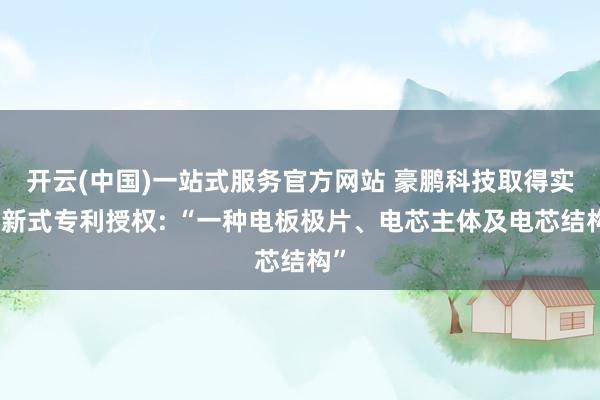 开云(中国)一站式服务官方网站 豪鹏科技取得实用新式专利授权: “一种电板极片、电芯主体及电芯结构”
