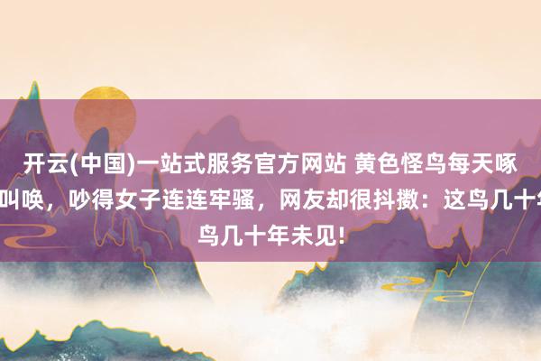 开云(中国)一站式服务官方网站 黄色怪鸟每天啄窗户还叫唤,吵得女子连连牢骚,网友却很抖擞:这鸟几十年未见!